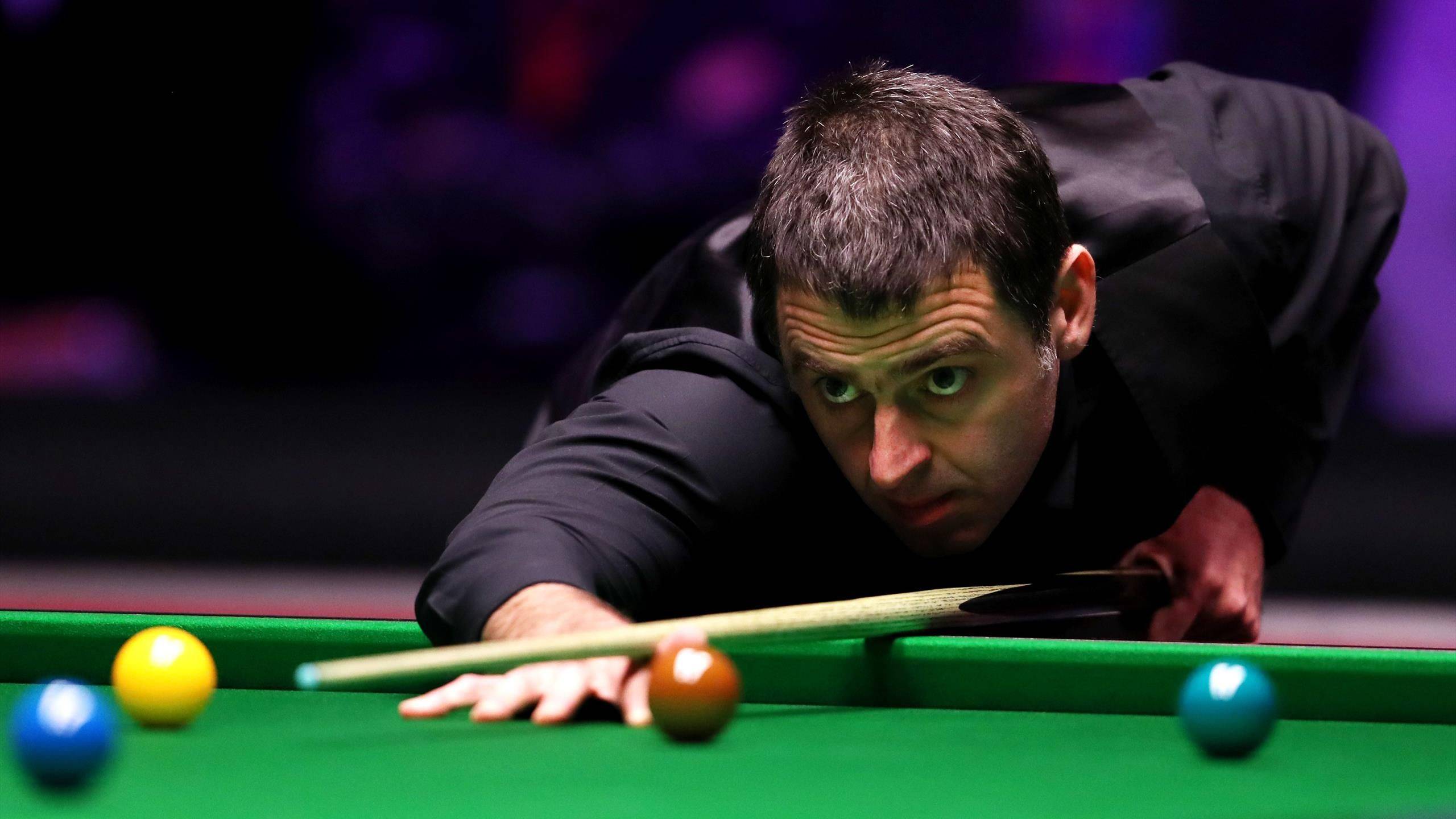 初次亮相新 初次亮相新